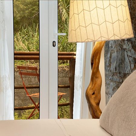 הוילה פורטו מוניז King Shelter By Madeira Sun Travel מראה חיצוני תמונה